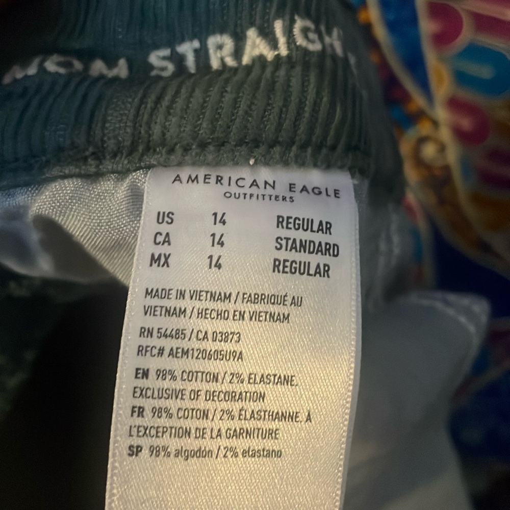 Teal/ green corduroy pants